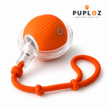 PUPLOZ™ Interactive Pet Ball