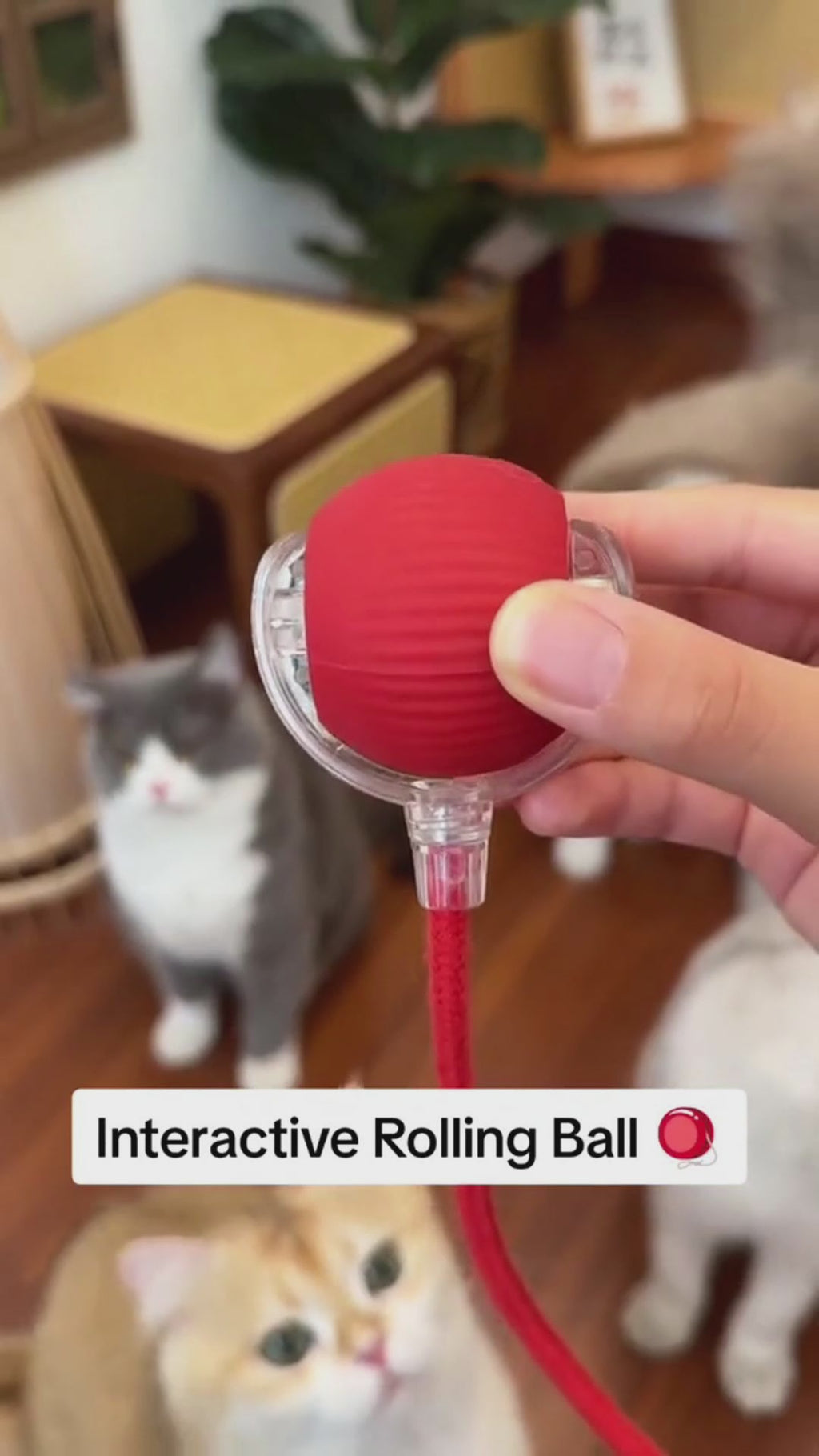PUPLOZ™ Interactive Pet Ball