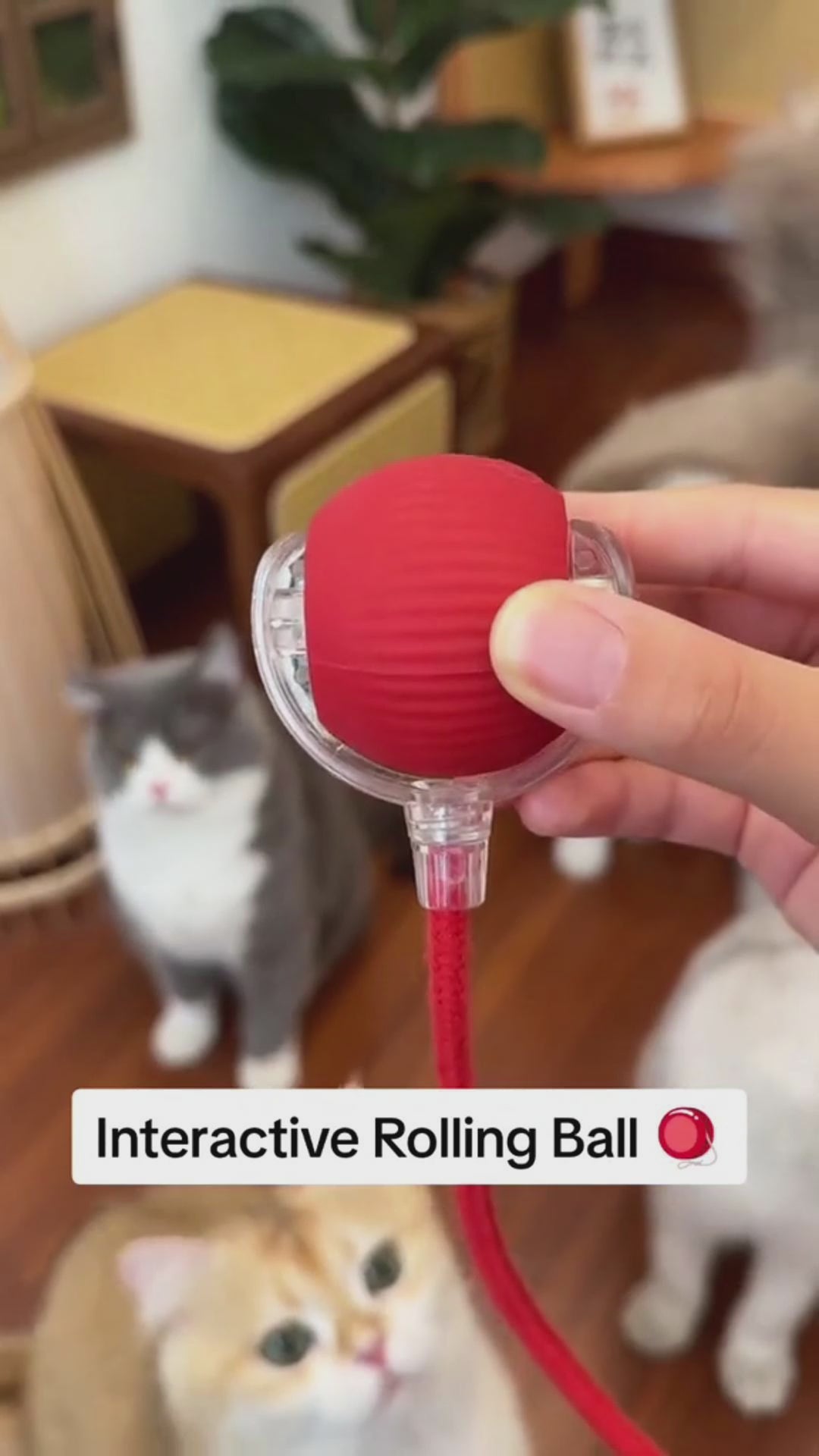 PUPLOZ™ Interactive Pet Ball