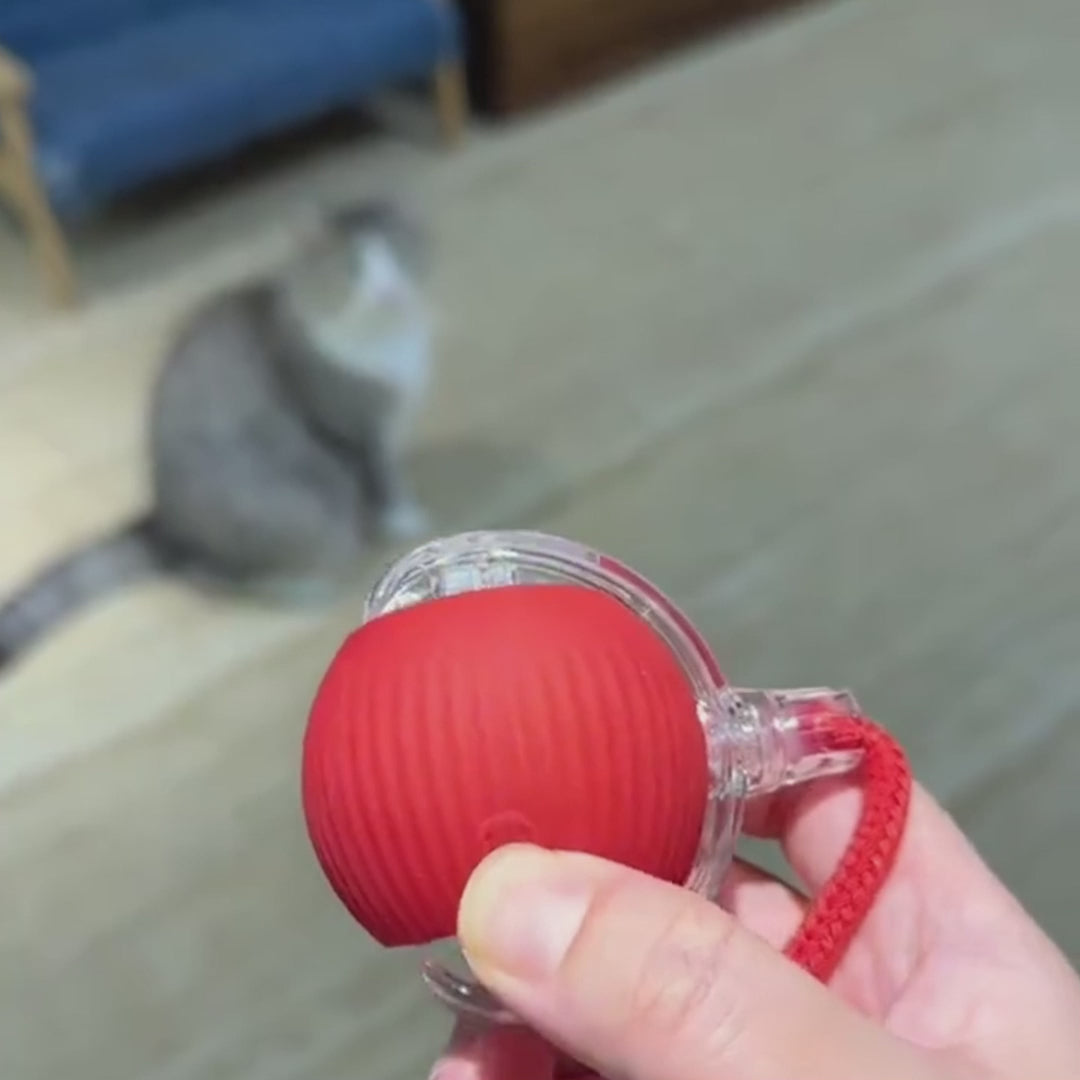 PUPLOZ™ Interactive Pet Ball